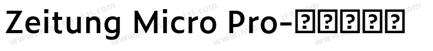Zeitung Micro Pro字体转换